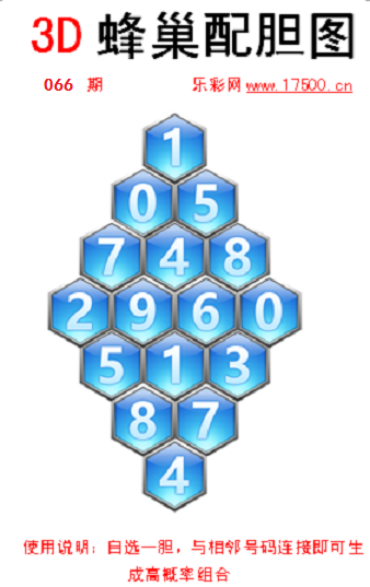 066福1蜂巢.png