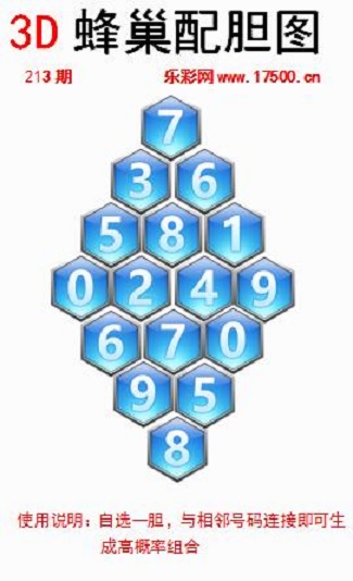 213福1蜂巢.jpg