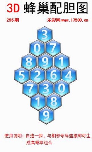 255福1蜂巢.jpg