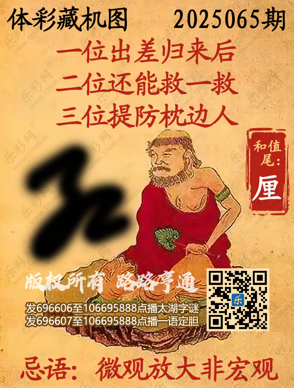 排列3第2025065期495香港彩com《正版保真藏机图》图谜