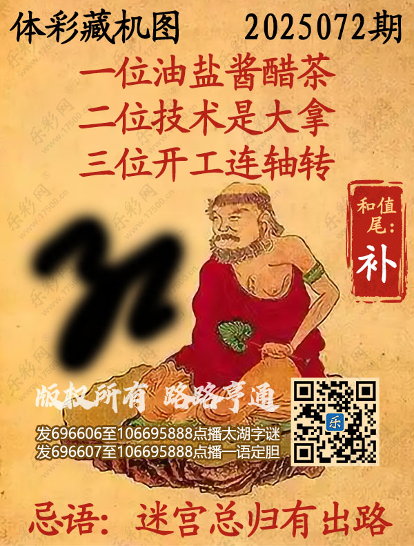 排列3第2025072期495香港彩com《正版保真藏机图》图谜