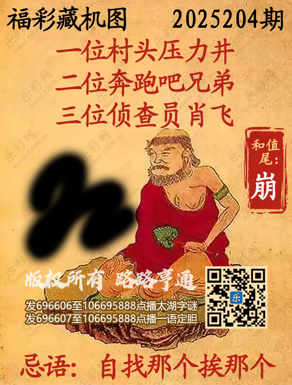 福彩3D第2025204期3d正版藏机图