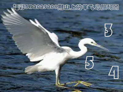 福彩3D第2025208期山上的羊【飞鸟胆码图】