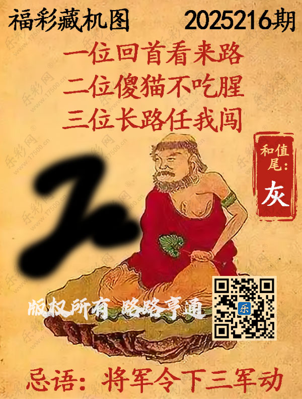 福彩3D第2025216期3d正版藏机图